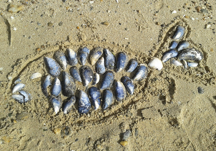 Beach Art